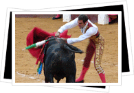 Bullfighting